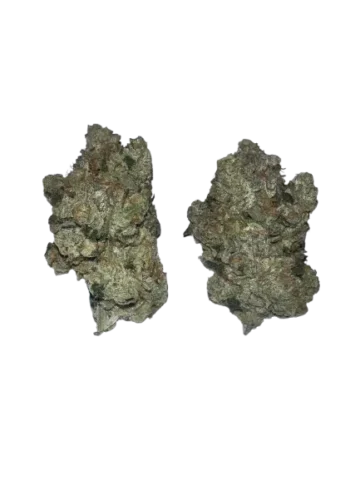 LSO Hippy Tearz Bulk