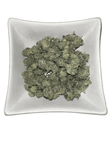 Pink Goo Smalls Bulk