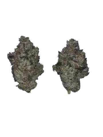 Pink Kush AAAAA Bulk