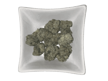 Grape Diamond LSO Smalls/Mediums