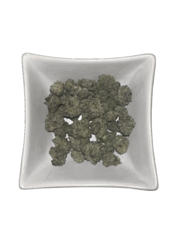 Forum Cut Cookies Smalls