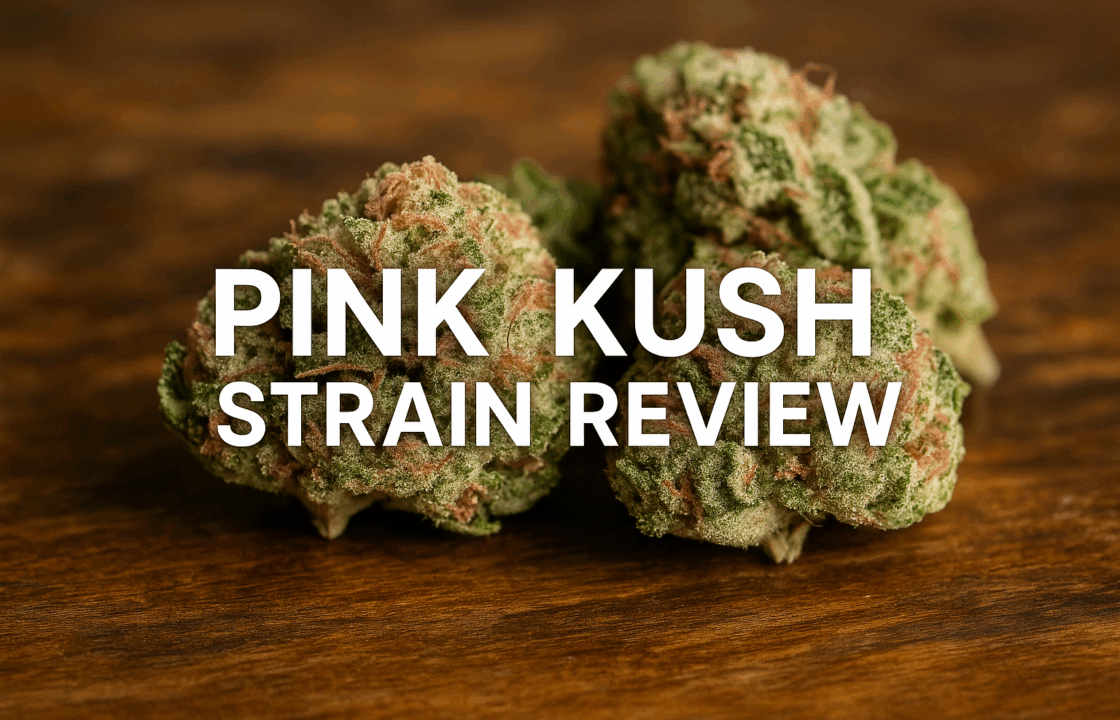 Pink Rockstar Strain